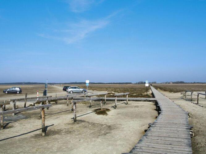 Apartment In St Peter-Ording In A Natural Environment Sankt Peter-Ording Exterior photo